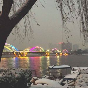 智能优惠券小狼导航
