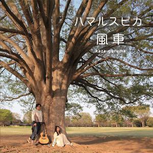 智能优惠券小狼导航
