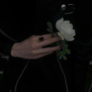 智能优惠券小狼导航
